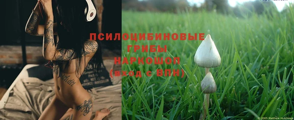 бошки Алзамай