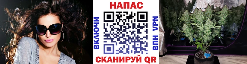 МАРИХУАНА Bruce Banner  MEGA ССЫЛКА  Пошехонье 
